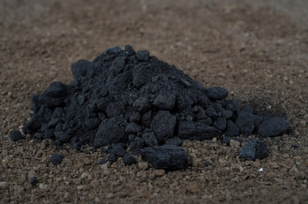 BIOCHAR