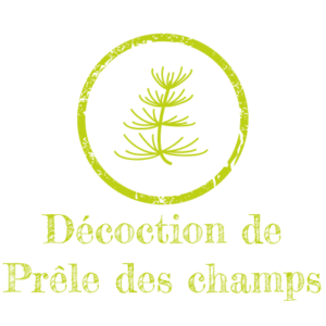 Décoction de Prêle des champs_w