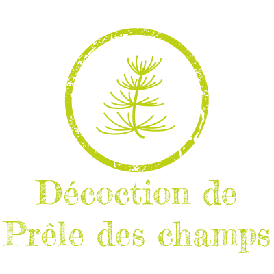 Décoction de Prêle des champs_w