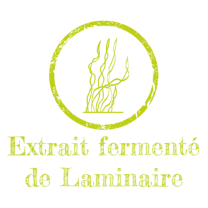 Extrait fermenté de Laminaire