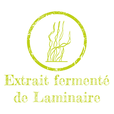 Extrait fermenté de Laminaire