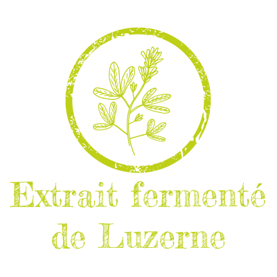 Extrait fermenté de Luzerne