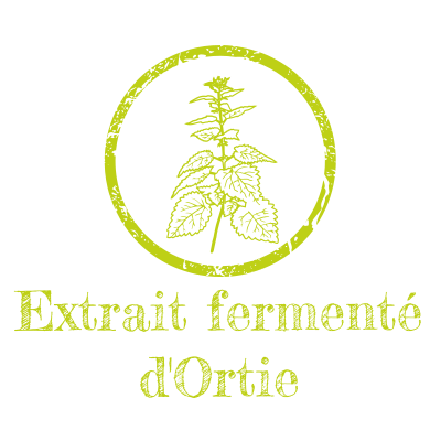 extrait fermenté d’ortie